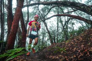 BIB: 
                            <button type="button" onclick="openModal(26343809)" class="btn btn-primary btn-sm float-right btn-popup" data-toggle="modal" data-target=".modal-high-quality">
                        <i class="fas fa-shopping-cart"></i> Add to Cart
                    </button>
                                            <button type="button" onclick="isThisMe(26343809, true)" class="btn btn-success btn-sm float-right btn-popup btn-isme hidden" data-toggle="tooltip" data-placement="bottom" title="นี่คือรูปของคุณใช่ไหม คลิกที่นี่เพื่อเอาเข้าอัลบั้ม">
                        <i class="fas fa-plus"></i> Add to album
                    </button>
                    <button type="button" onclick="isThisMe(26343809, false)" class="btn btn-warning btn-sm float-right btn-popup btn-isnotme hidden">
                        <i class="fas fa-ban"></i> Remove from album
                    </button>